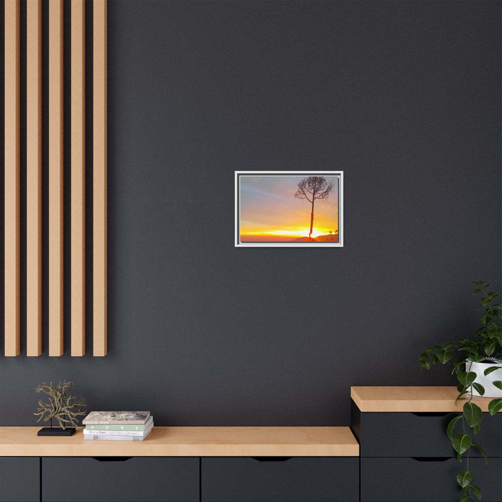 'A Root Light'  Framed Canvas Art