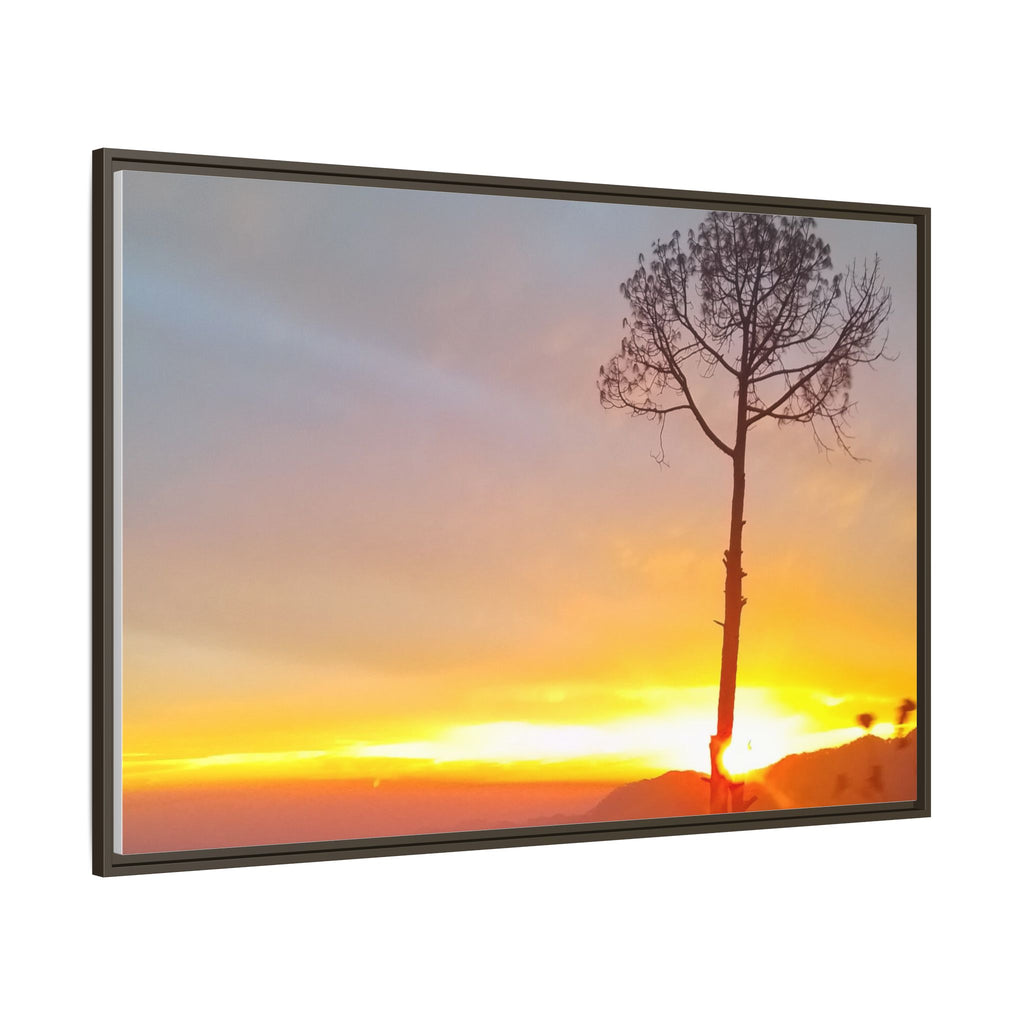 'A Root Light'  Framed Canvas Art