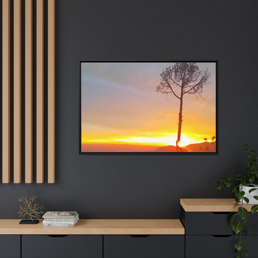 'A Root Light'  Framed Canvas Art