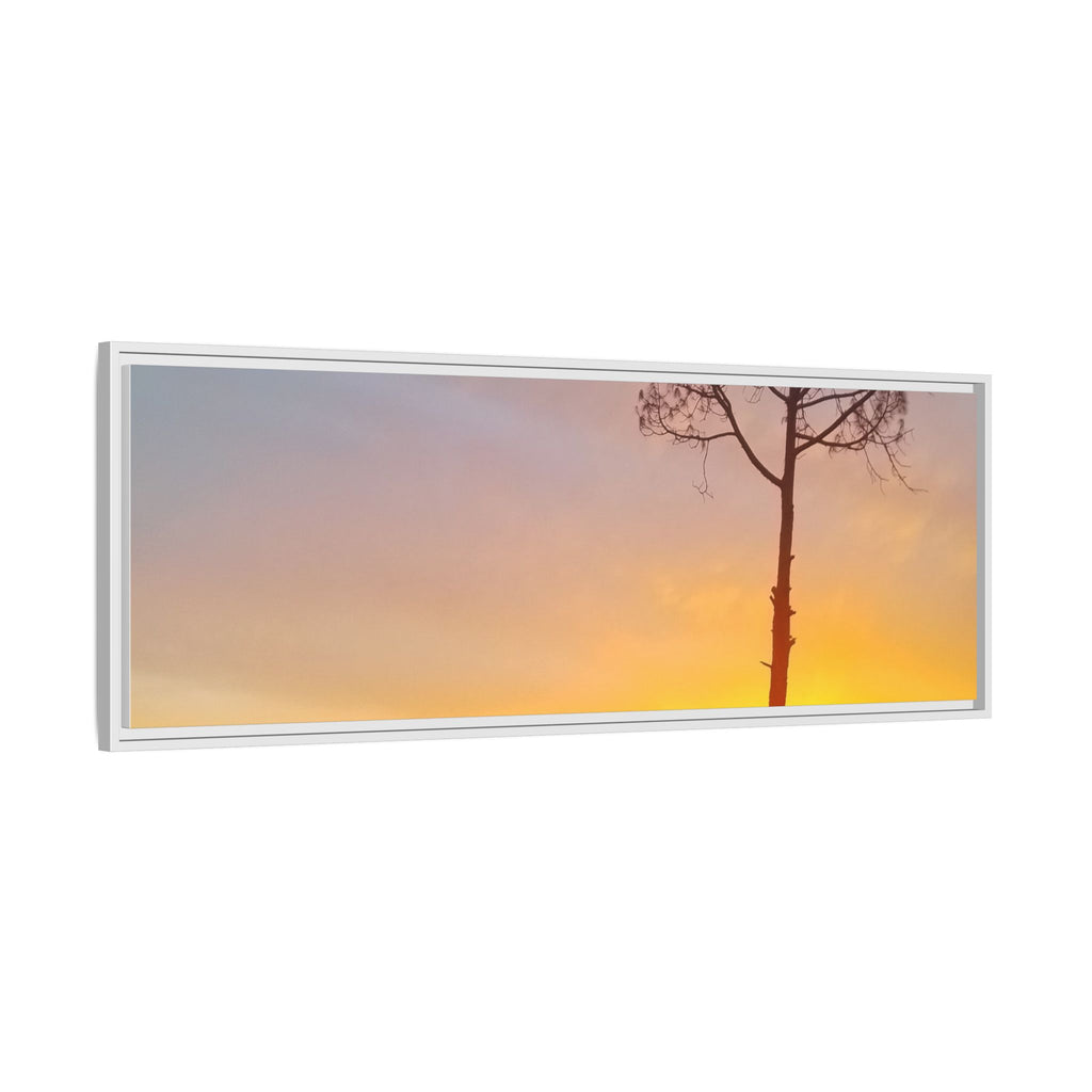 'A Root Light'  Framed Canvas Art