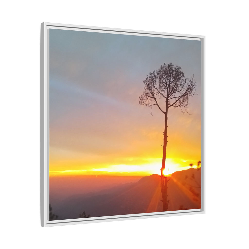 'A Root Light'  Framed Canvas Art