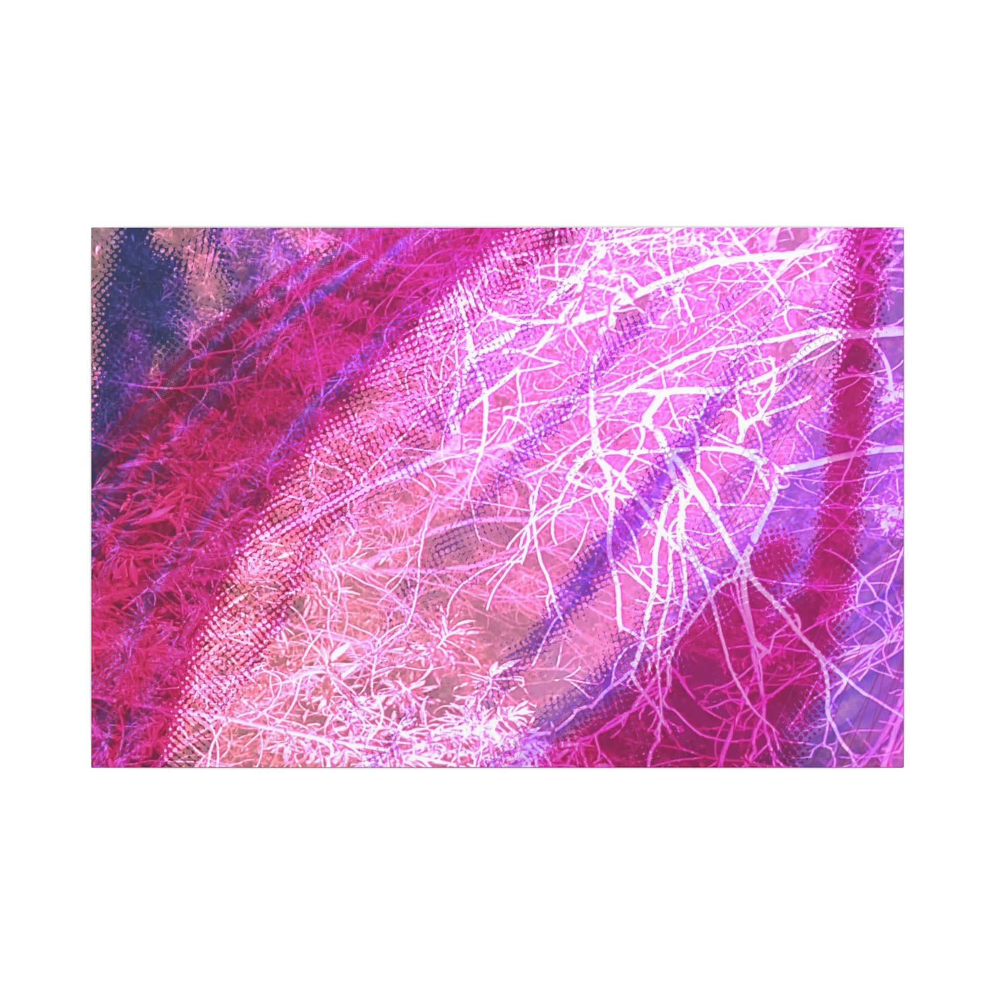Bloom Canvas