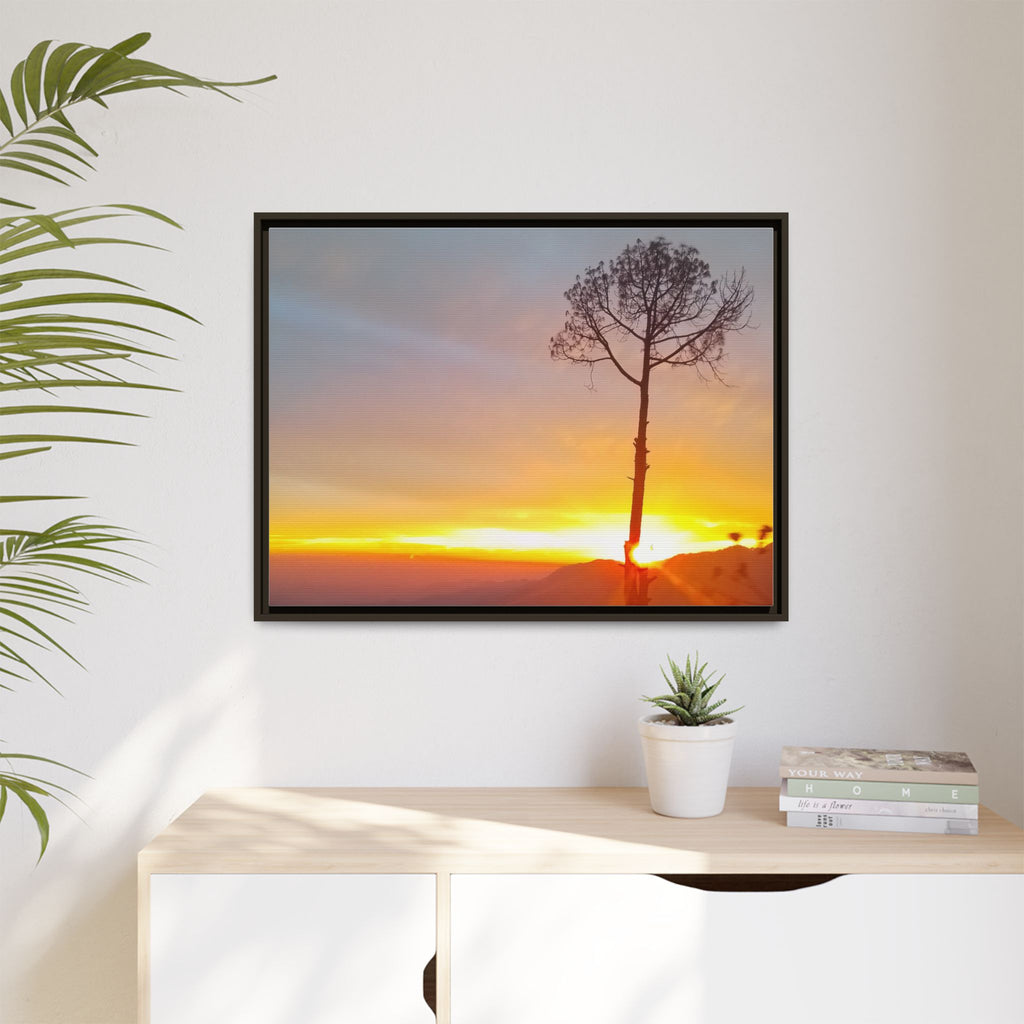 'A Root Light'  Framed Canvas Art