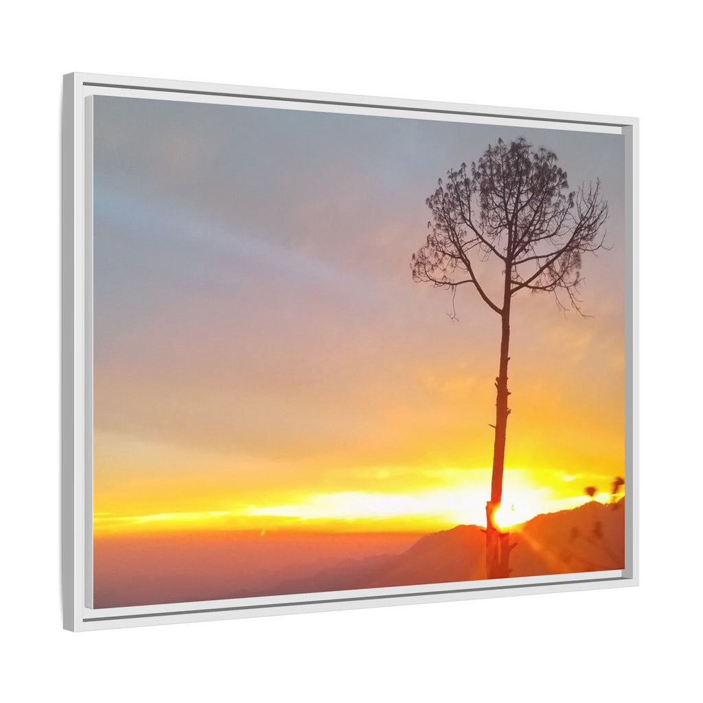 'A Root Light'  Framed Canvas Art
