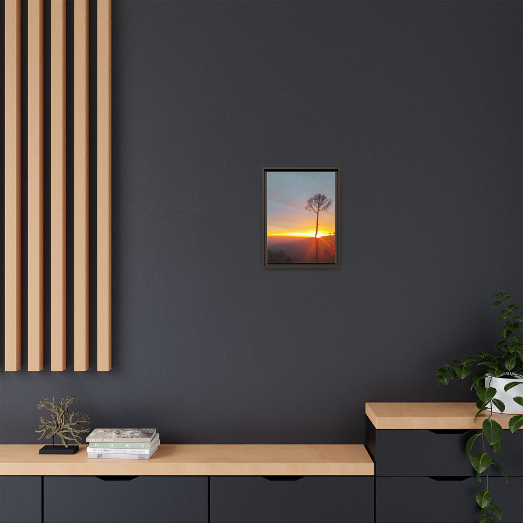 'A Root Light'  Framed Canvas Art