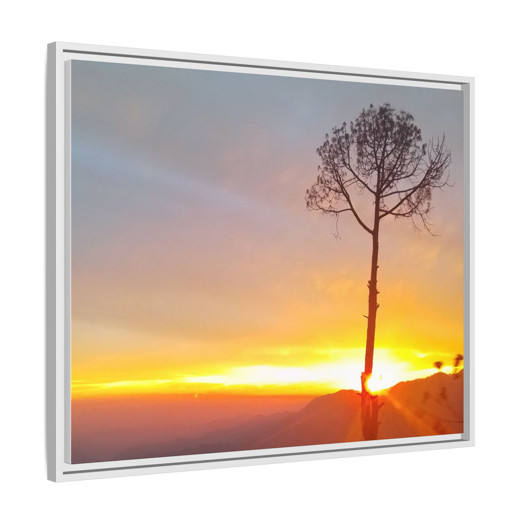 'A Root Light'  Framed Canvas Art