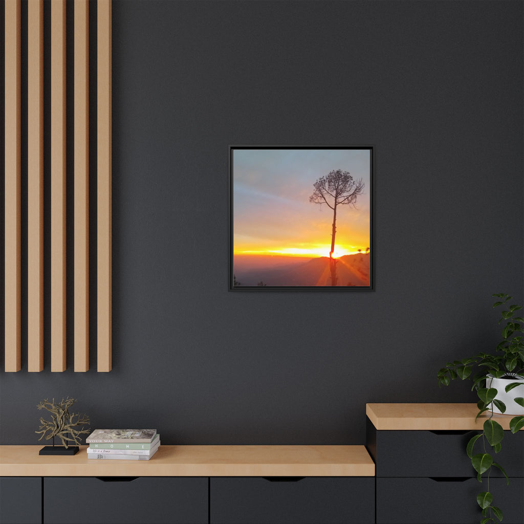 'A Root Light'  Framed Canvas Art