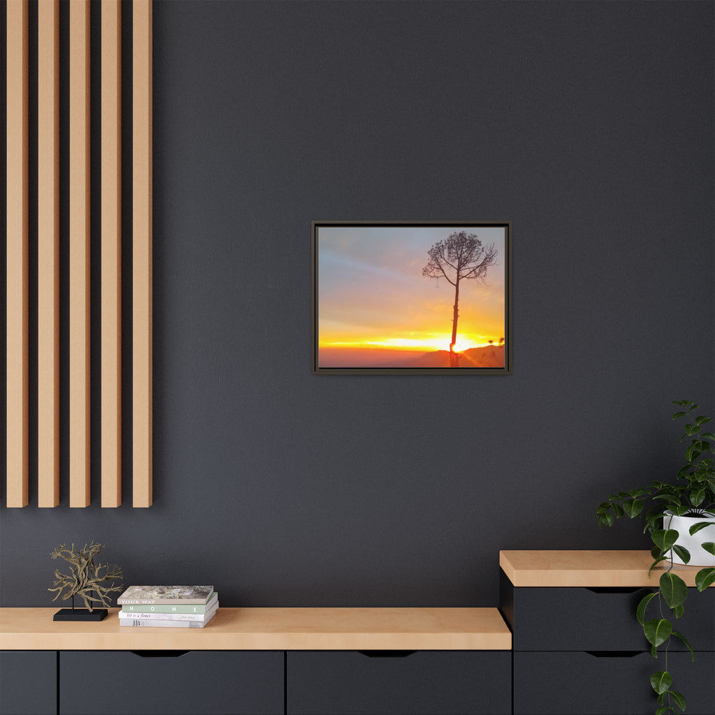 'A Root Light'  Framed Canvas Art