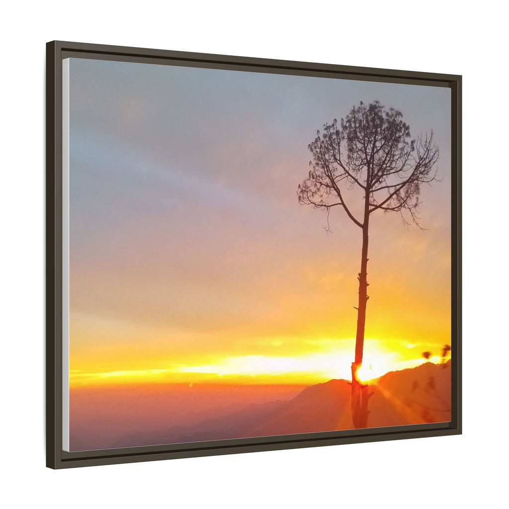 'A Root Light'  Framed Canvas Art