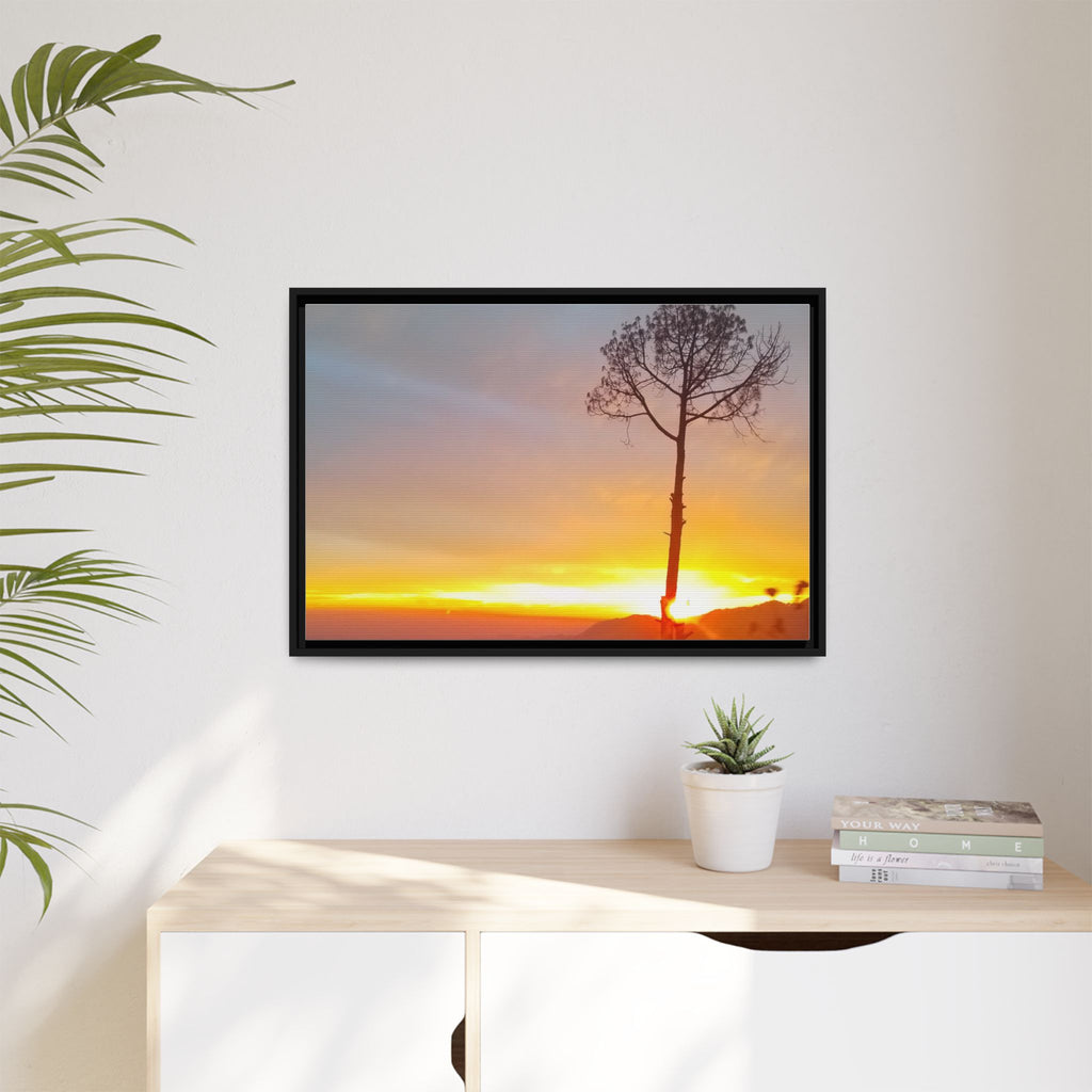 'A Root Light'  Framed Canvas Art