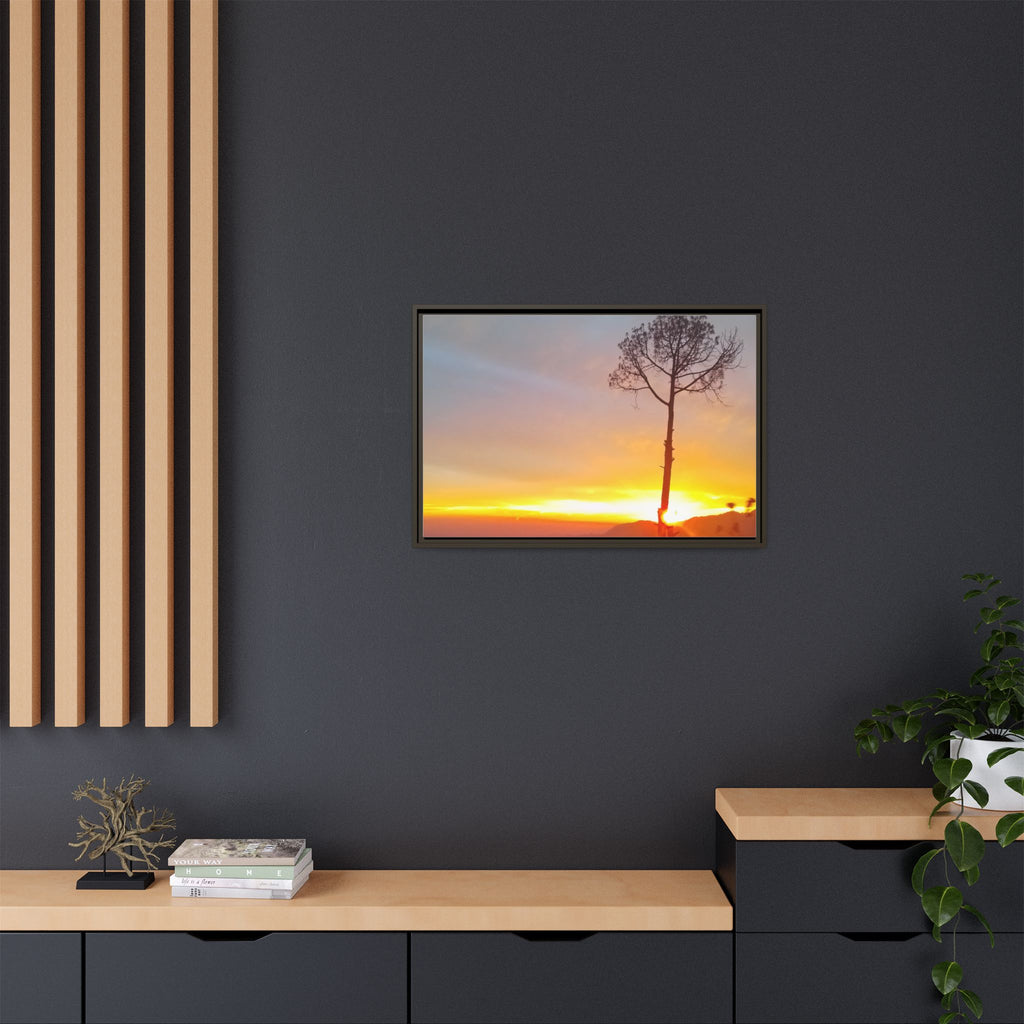 'A Root Light'  Framed Canvas Art