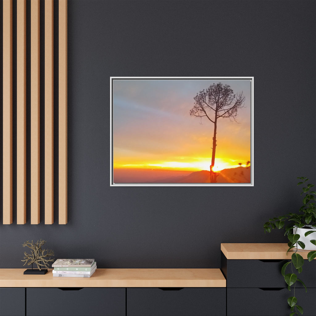 'A Root Light'  Framed Canvas Art