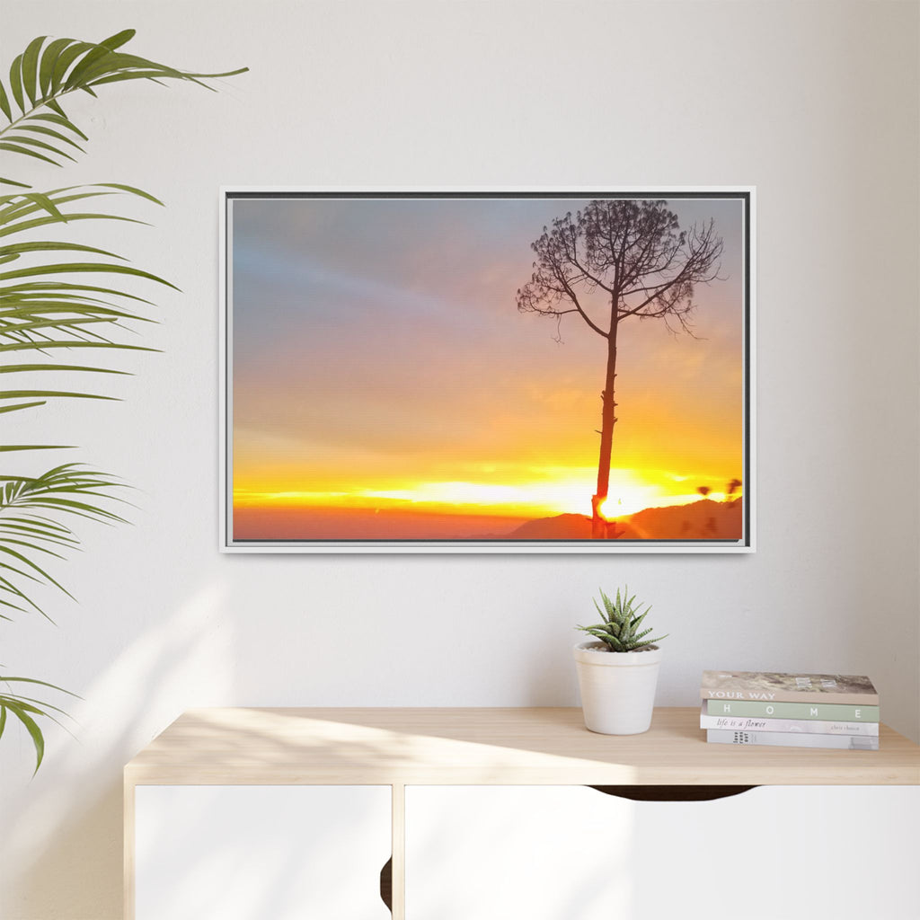 'A Root Light'  Framed Canvas Art