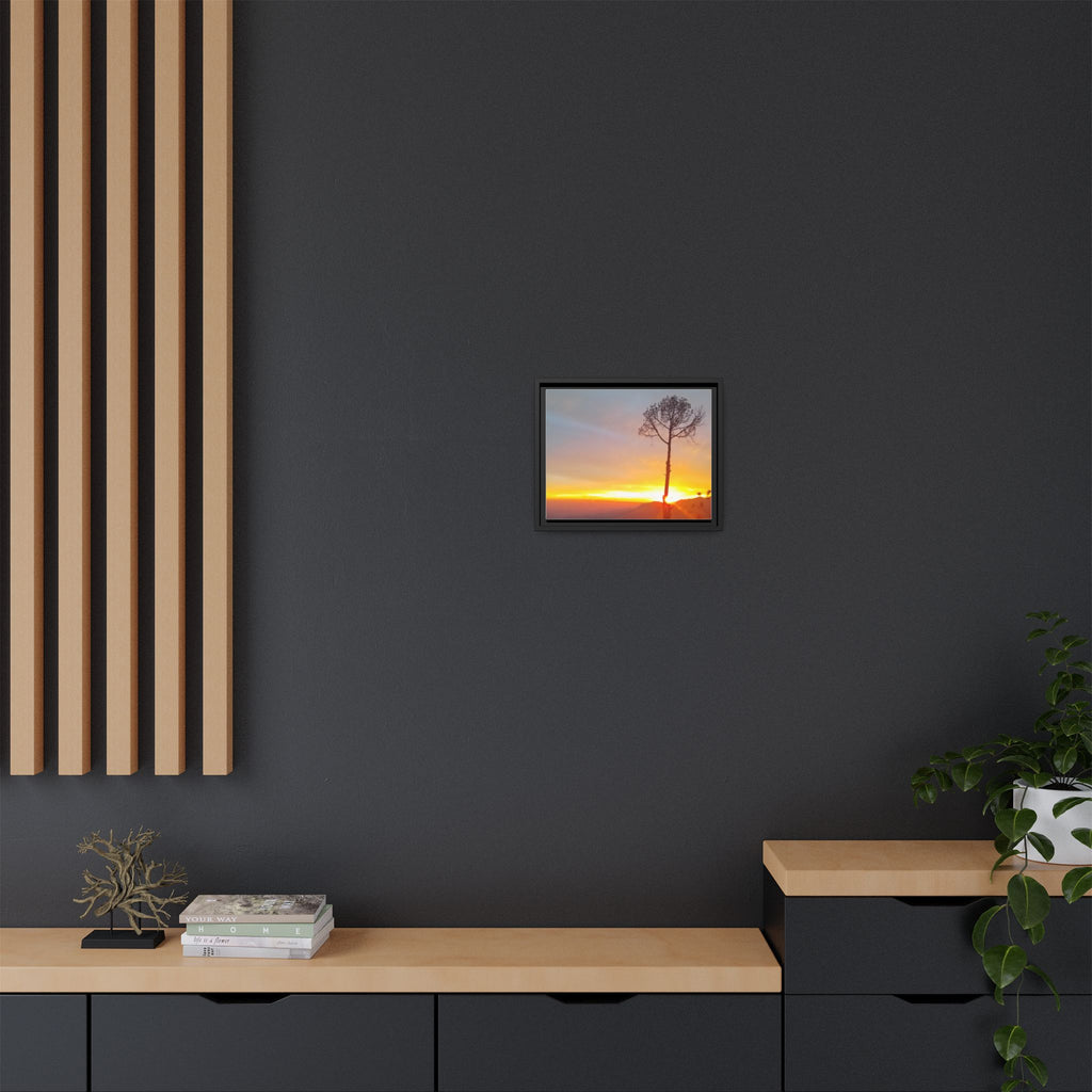 'A Root Light'  Framed Canvas Art
