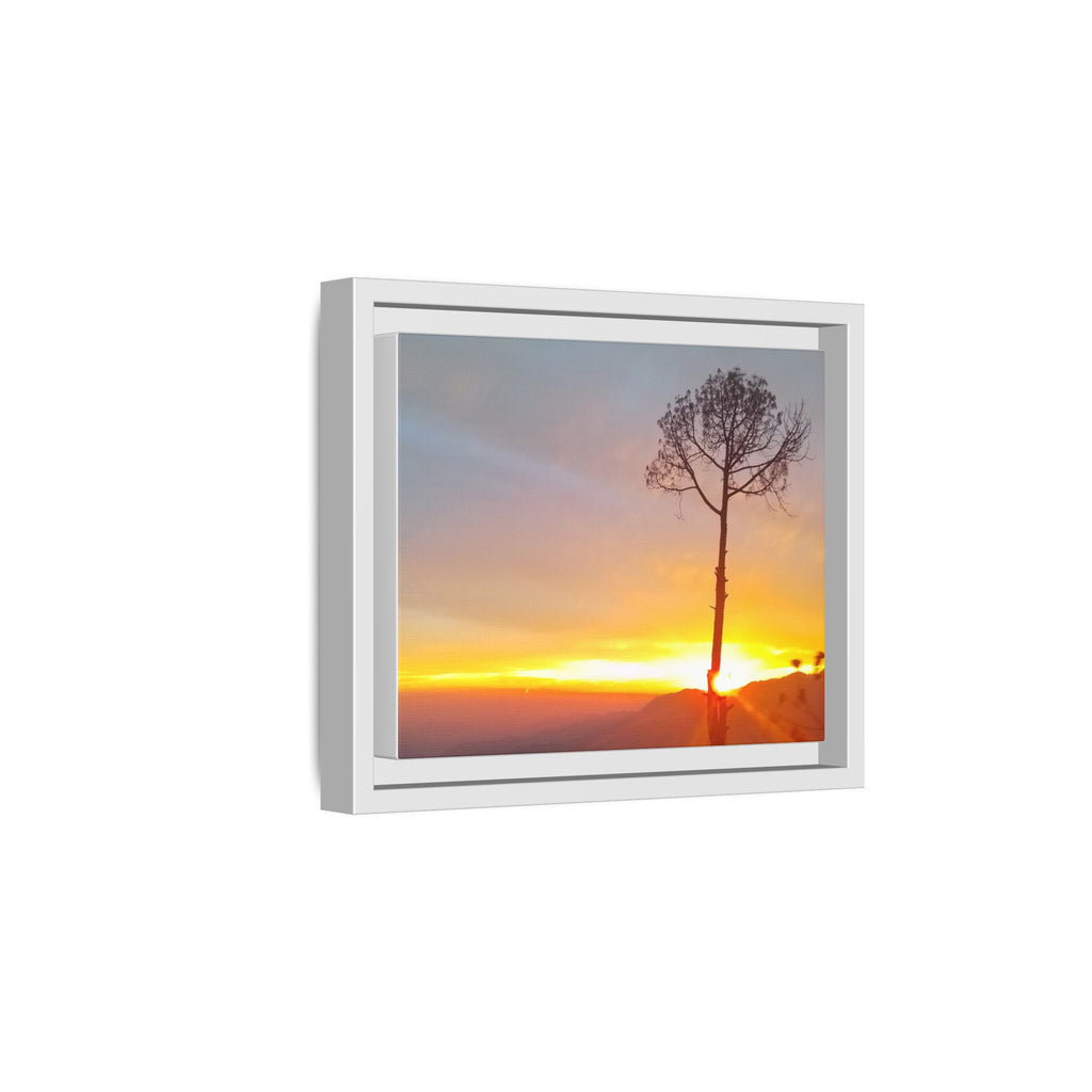 'A Root Light'  Framed Canvas Art
