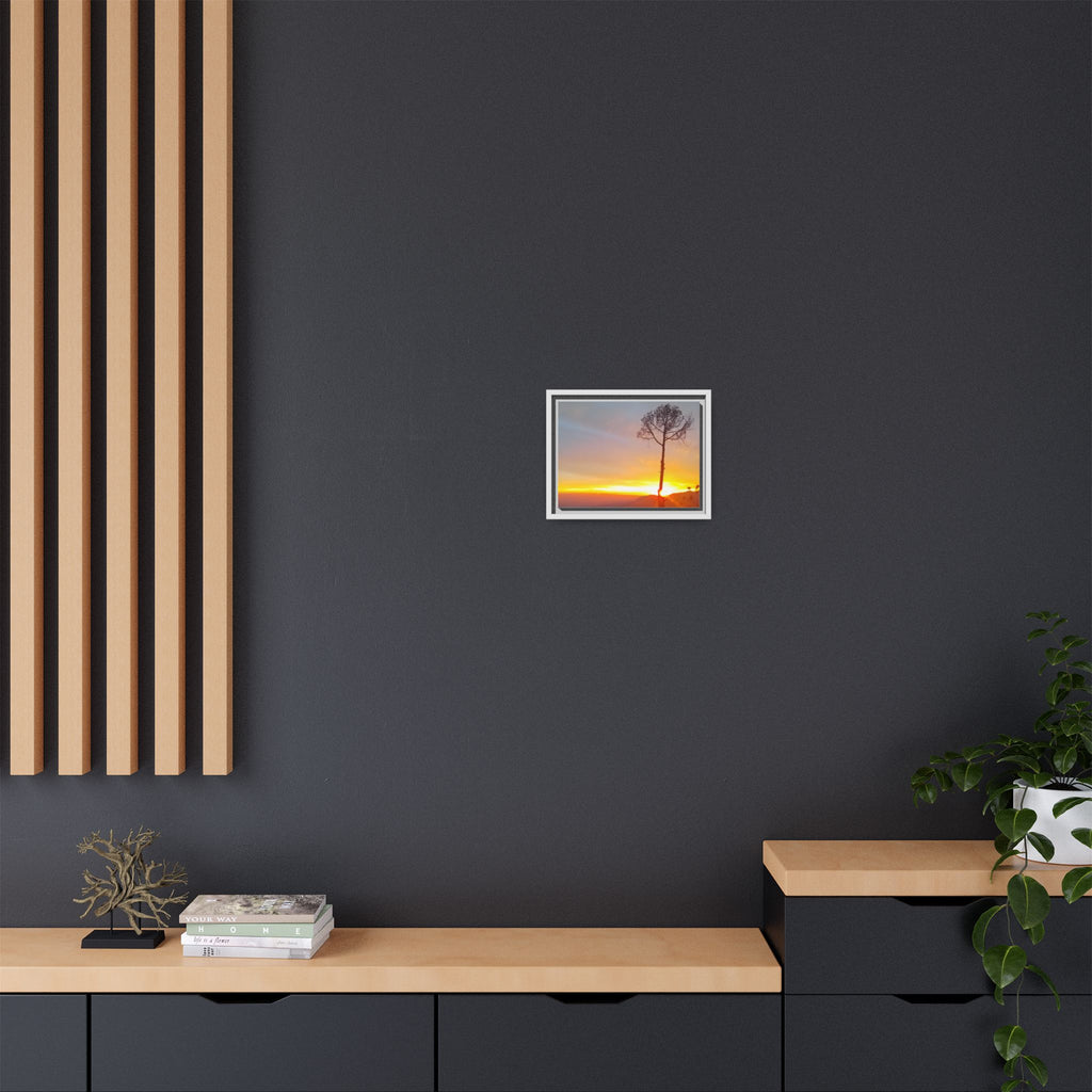 'A Root Light'  Framed Canvas Art