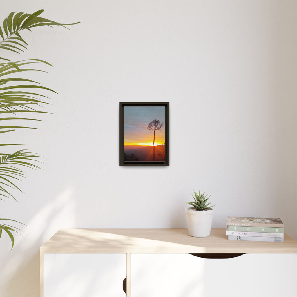 'A Root Light'  Framed Canvas Art