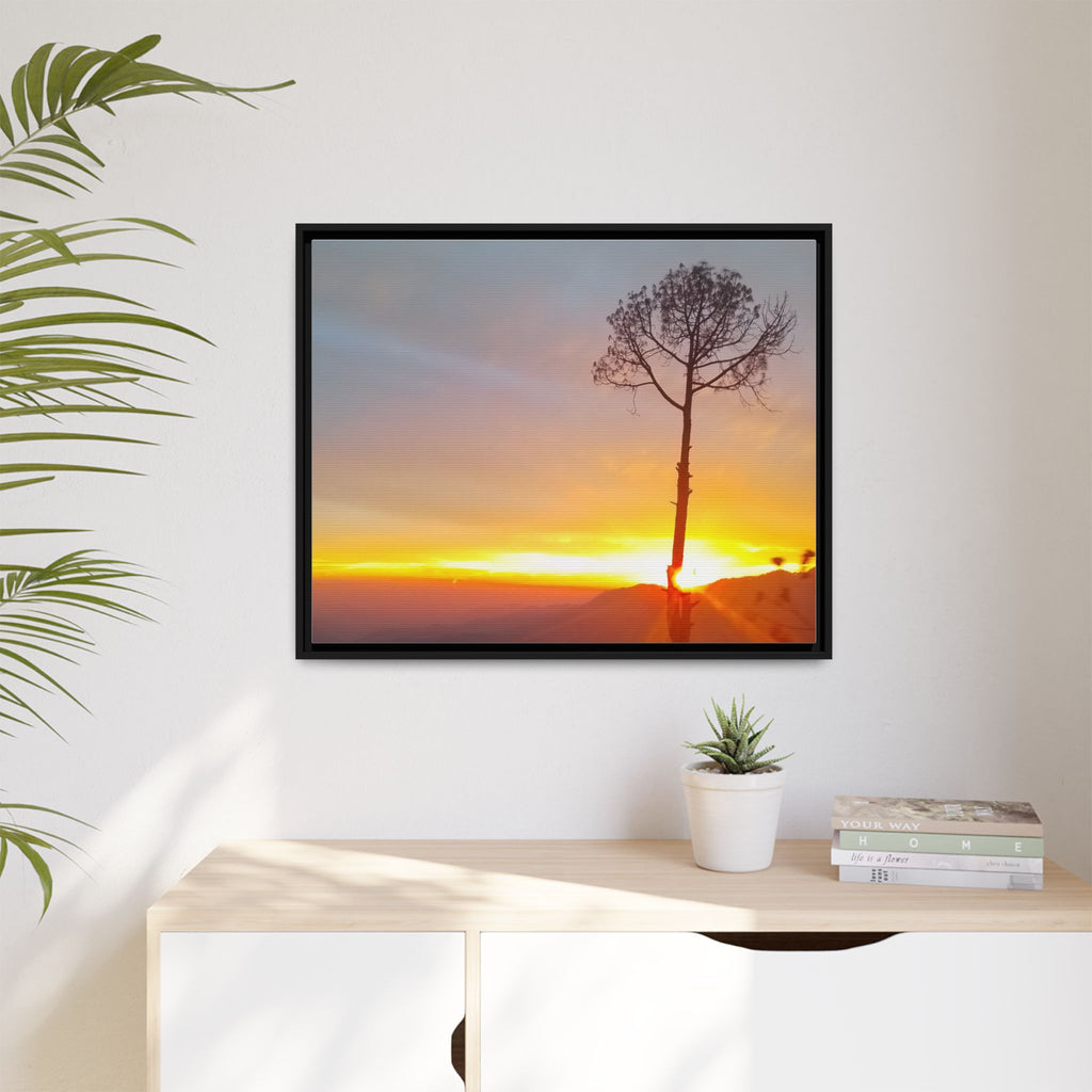'A Root Light'  Framed Canvas Art
