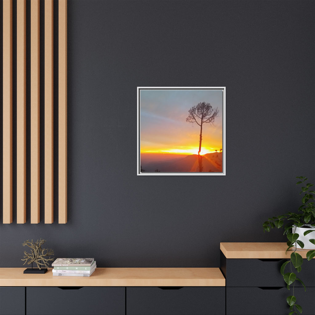 'A Root Light'  Framed Canvas Art