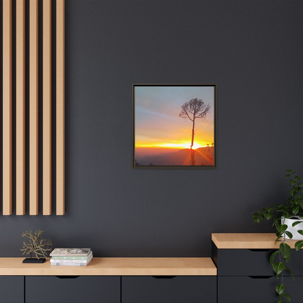 'A Root Light'  Framed Canvas Art