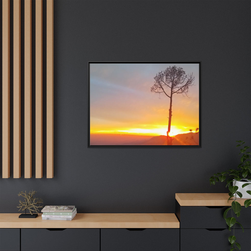 'A Root Light'  Framed Canvas Art