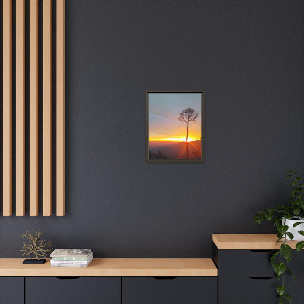 'A Root Light'  Framed Canvas Art