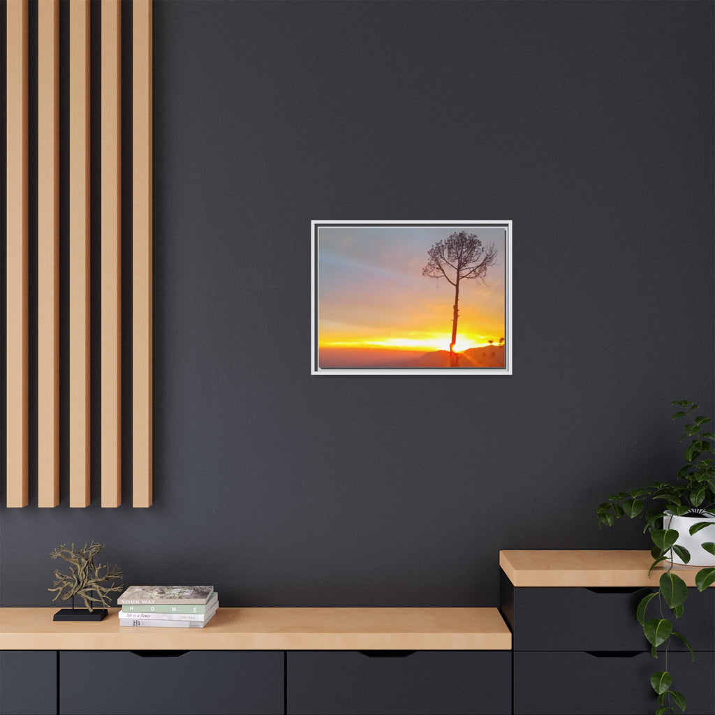 'A Root Light'  Framed Canvas Art