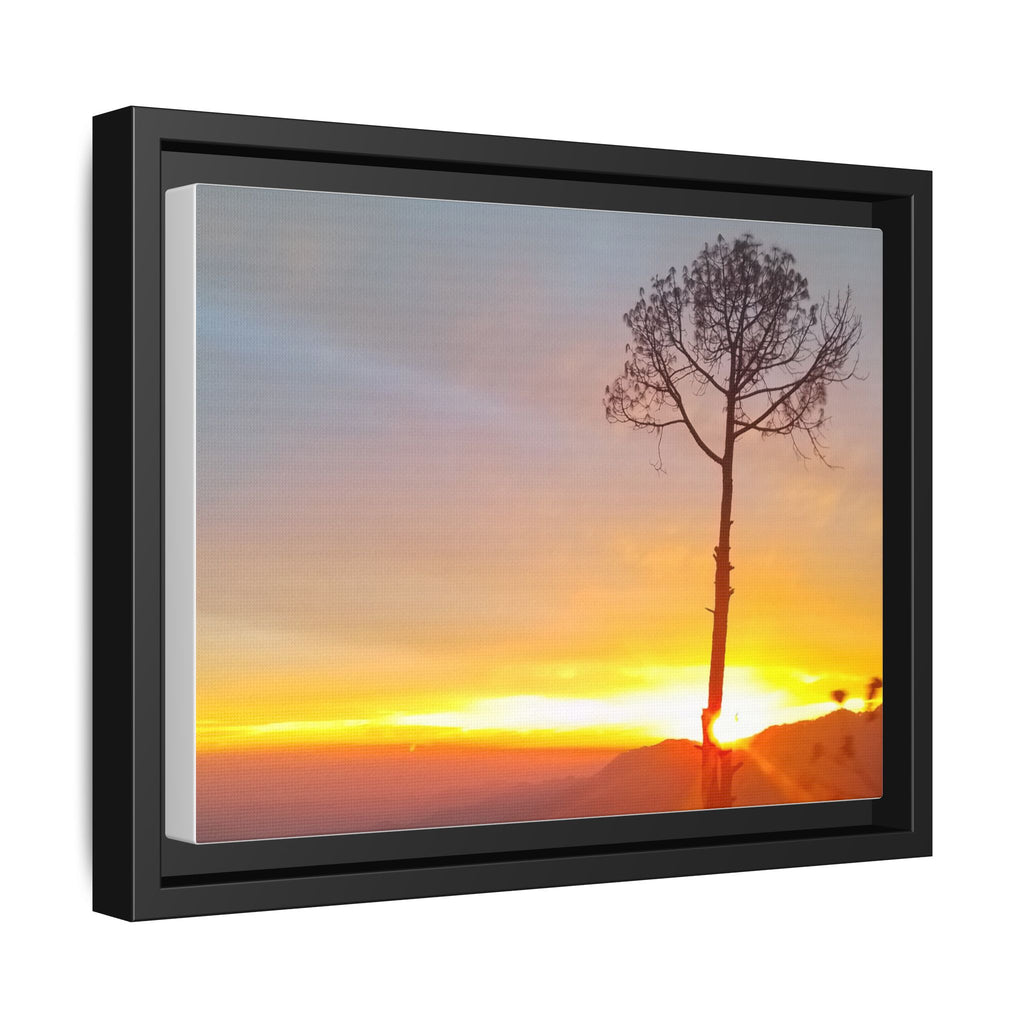 'A Root Light'  Framed Canvas Art