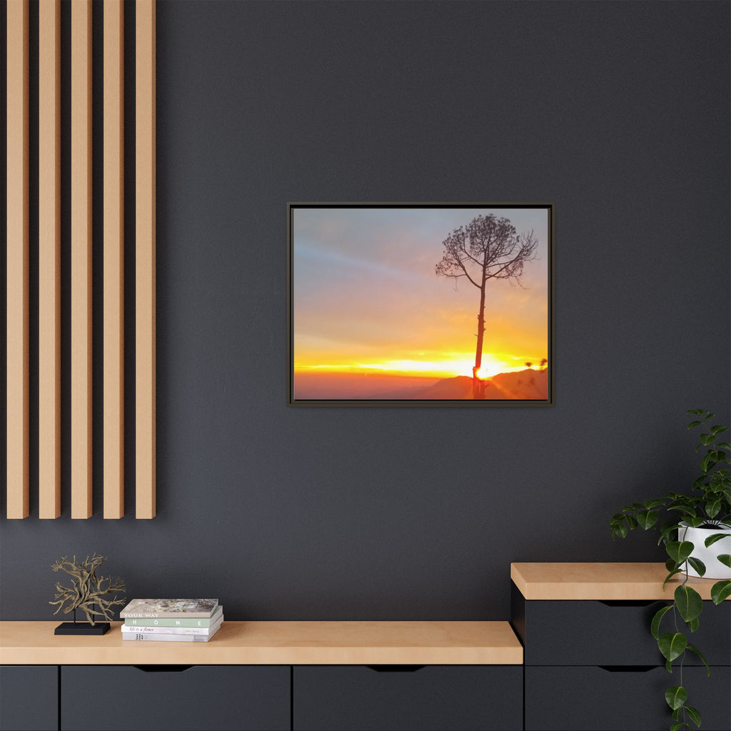 'A Root Light'  Framed Canvas Art