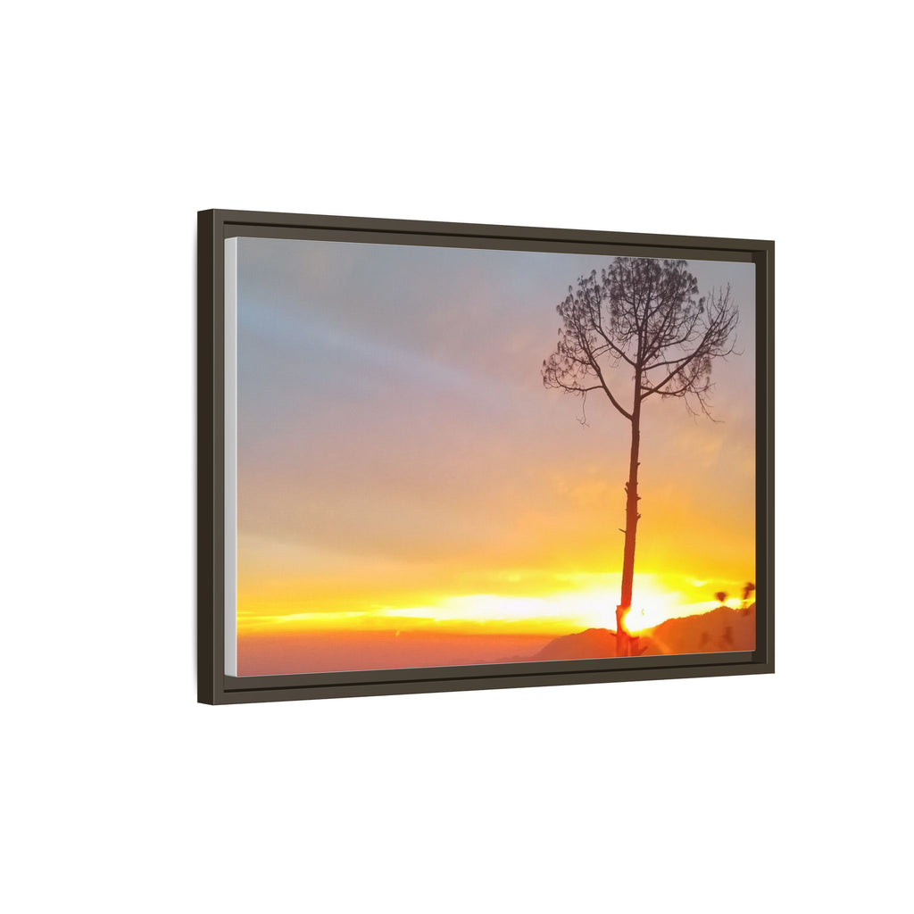 'A Root Light'  Framed Canvas Art