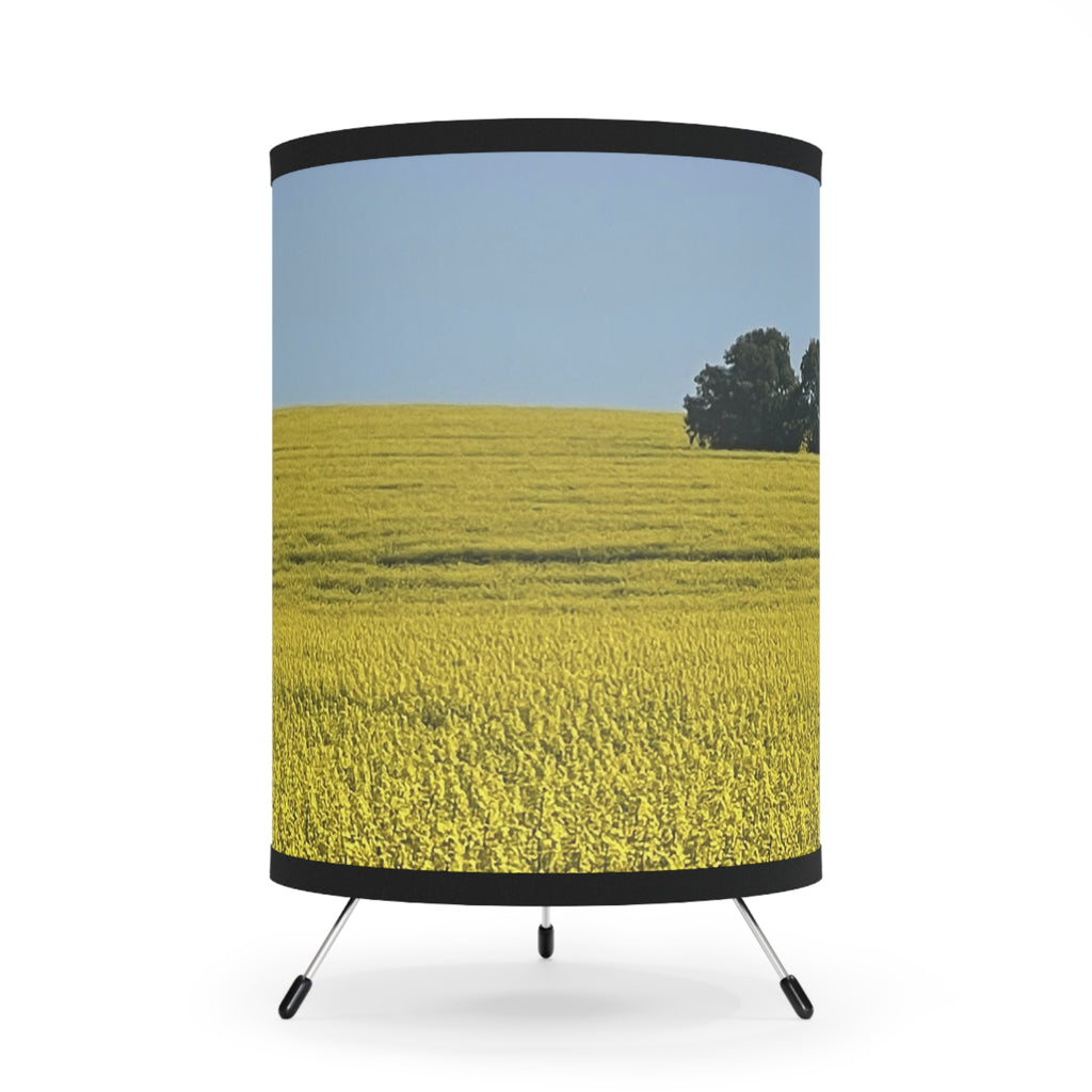 Sage Godrei x Neurodivergent Synergy Tripod Lamp