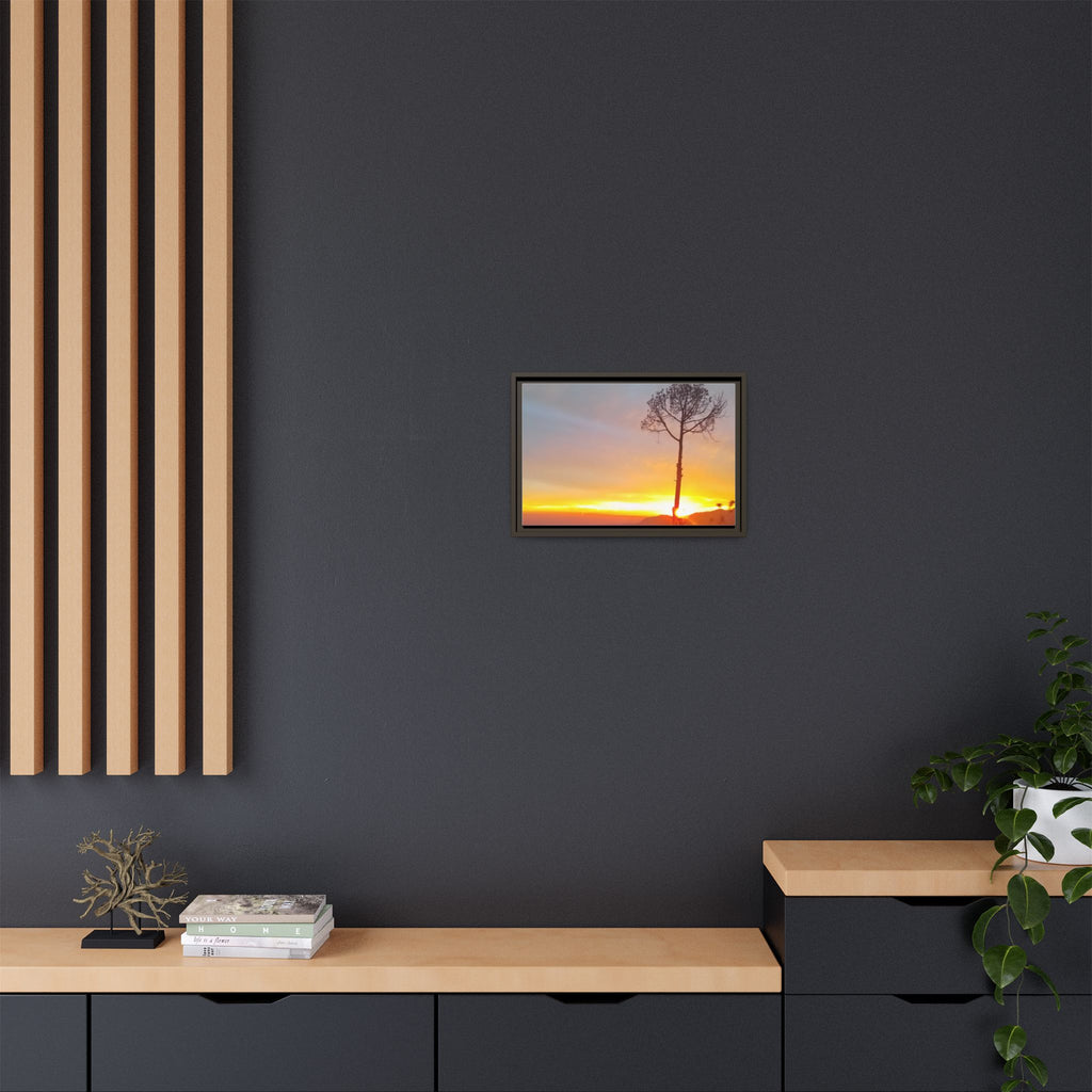 'A Root Light'  Framed Canvas Art