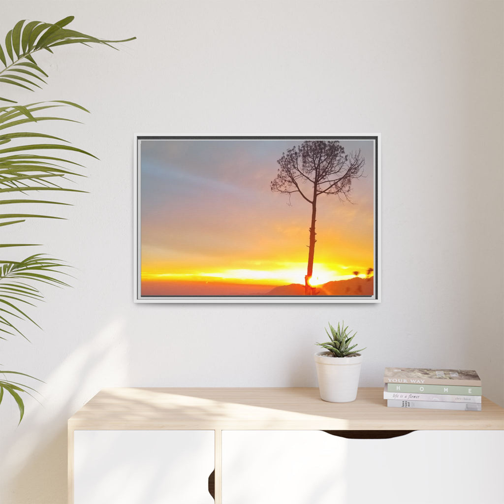 'A Root Light'  Framed Canvas Art
