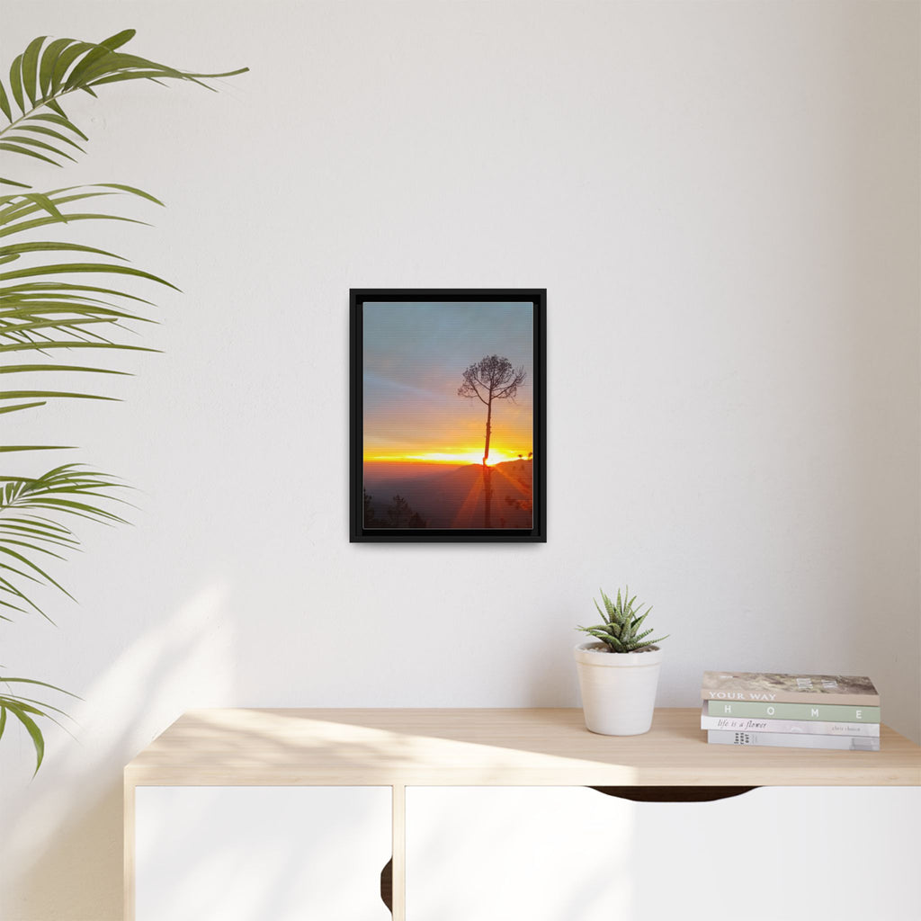 'A Root Light'  Framed Canvas Art