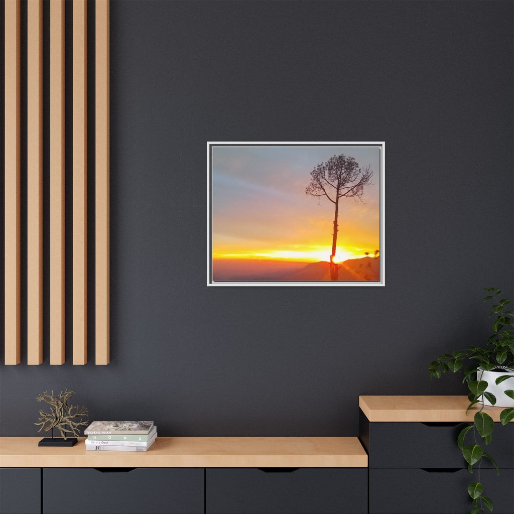 'A Root Light'  Framed Canvas Art