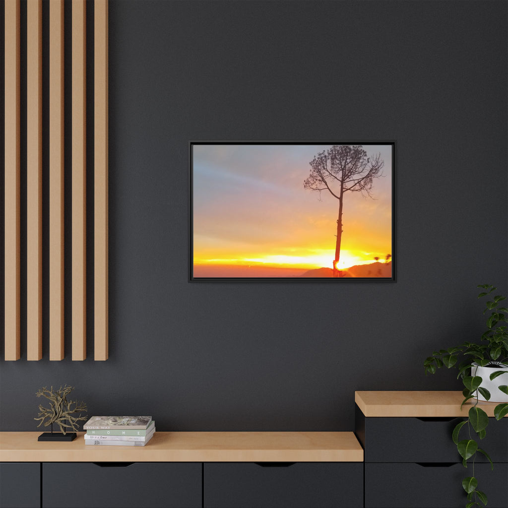 'A Root Light'  Framed Canvas Art