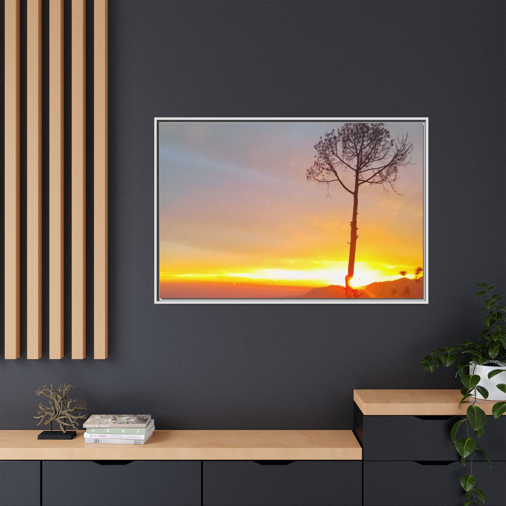 'A Root Light'  Framed Canvas Art