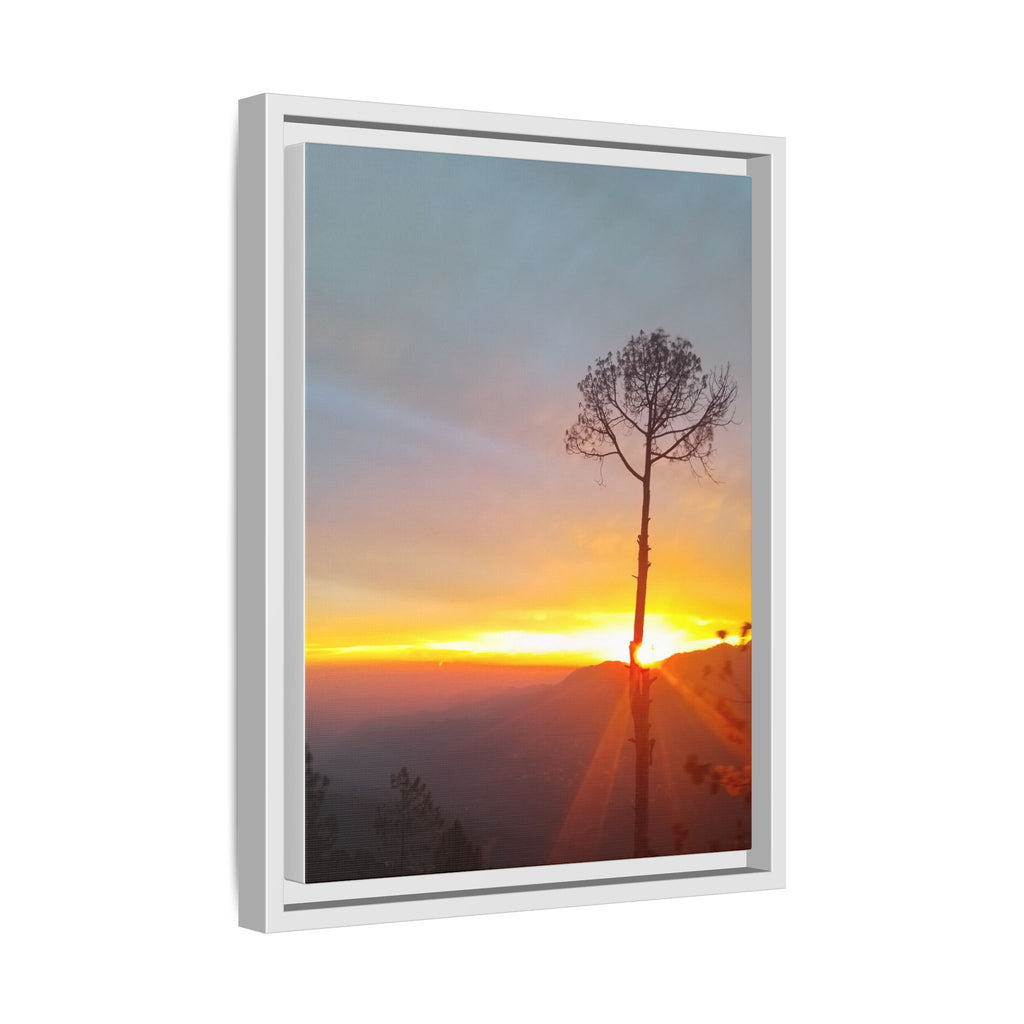 'A Root Light'  Framed Canvas Art