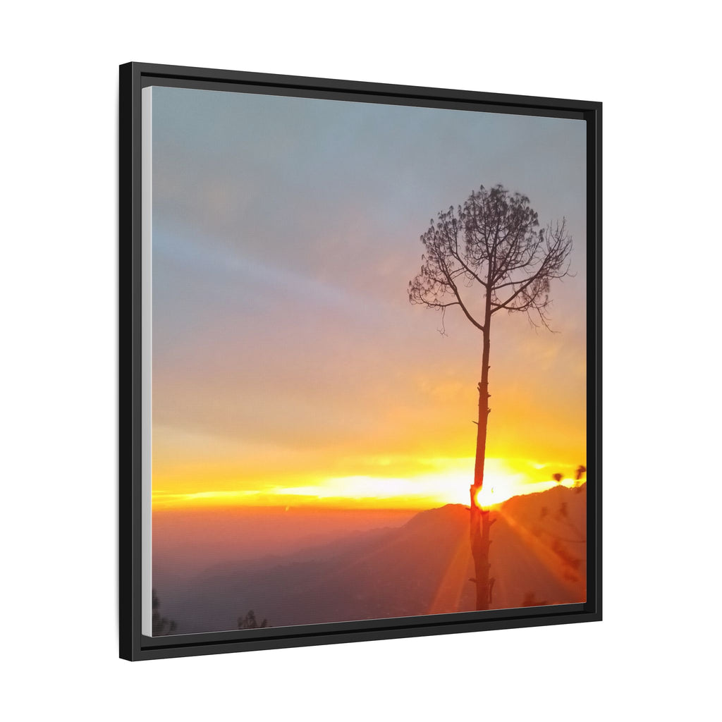 'A Root Light'  Framed Canvas Art
