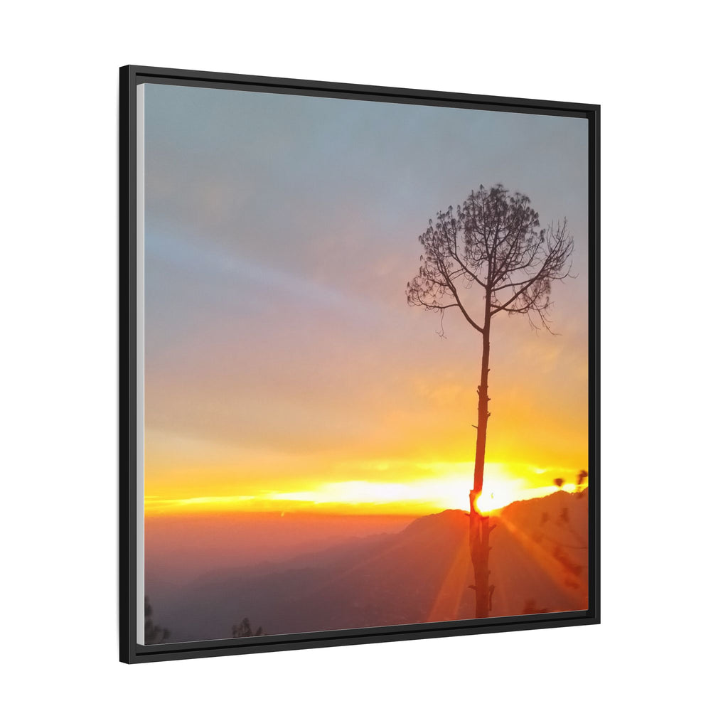 'A Root Light'  Framed Canvas Art