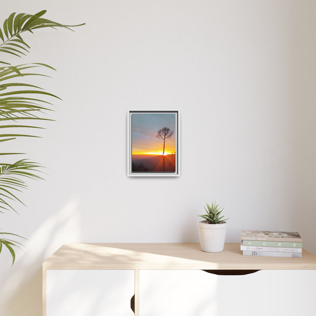 'A Root Light'  Framed Canvas Art