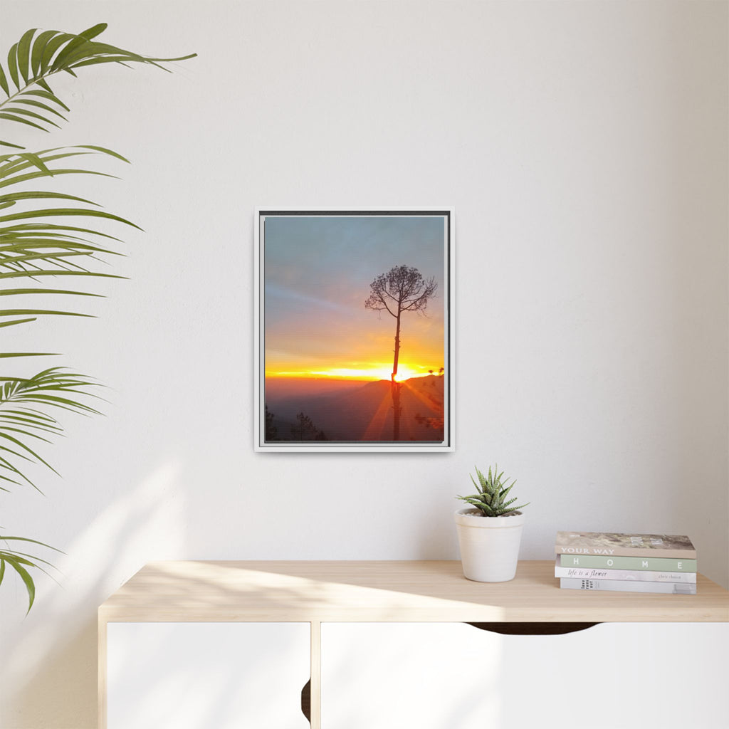'A Root Light'  Framed Canvas Art