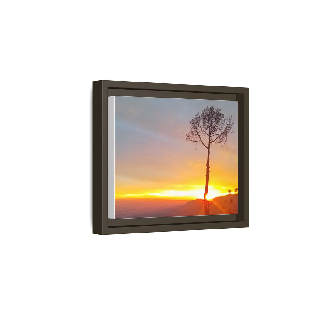 'A Root Light'  Framed Canvas Art